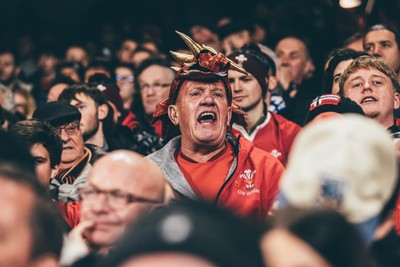 221125 - Wales v New Zealand - Quilter Nations Series - Wales Fans inside the stadium during the game 