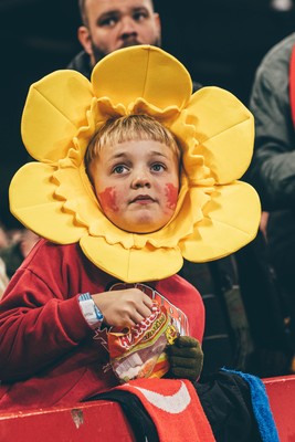 221125 - Wales v New Zealand - Quilter Nations Series - Wales Fans inside the stadium during the game 