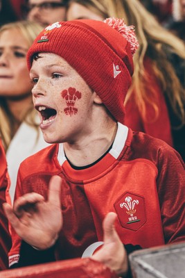 221125 - Wales v New Zealand - Quilter Nations Series - Wales Fans inside the stadium during the game 