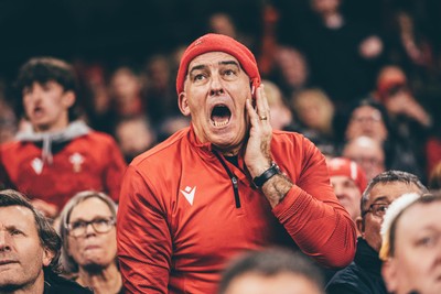 221125 - Wales v New Zealand - Quilter Nations Series - Wales Fans inside the stadium during the game 