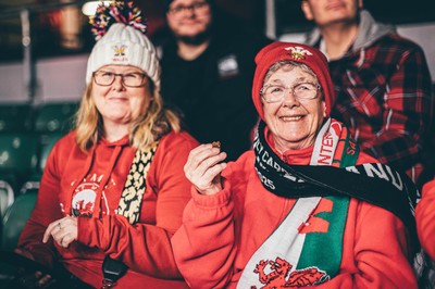 221125 - Wales v New Zealand - Quilter Nations Series - Wales Fans inside the stadium during the game 