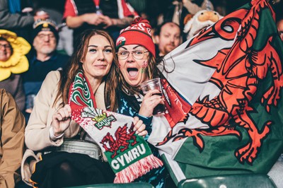 221125 - Wales v New Zealand - Quilter Nations Series - Wales Fans inside the stadium during the game 
