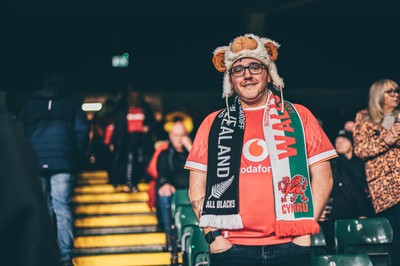 221125 - Wales v New Zealand - Quilter Nations Series - Wales Fans inside the stadium during the game 