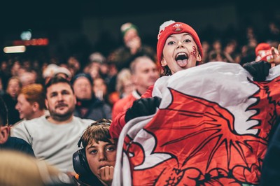 221125 - Wales v New Zealand - Quilter Nations Series - Wales Fans inside the stadium during the game 
