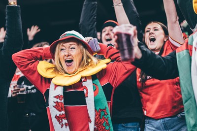221125 - Wales v New Zealand - Quilter Nations Series - Wales Fans inside the stadium during the game 