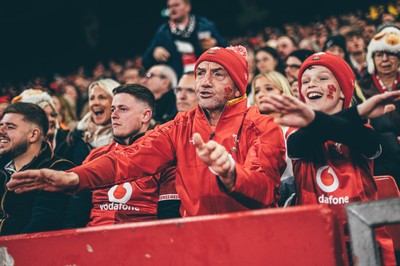 221125 - Wales v New Zealand - Quilter Nations Series - Wales Fans inside the stadium during the game 
