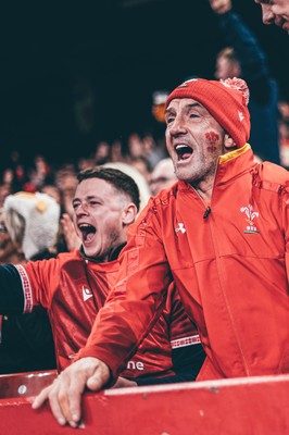 221125 - Wales v New Zealand - Quilter Nations Series - Wales Fans inside the stadium during the game 