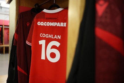 221125 - Wales v New Zealand - Quilter Nations Series - Brodie Coghlan of Wales jersey before the game
