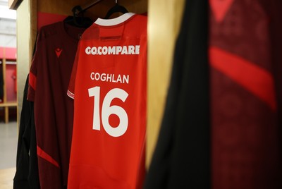 221125 - Wales v New Zealand - Quilter Nations Series - Brodie Coghlan of Wales jersey before the game