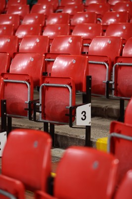 221125 - Wales v New Zealand - Quilter Nations Series - General View of the stadium before the game