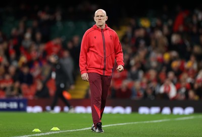 221125 - Wales v New Zealand All Blacks - Quilter Nations Series - Wales Head Coach Steve Tandy 