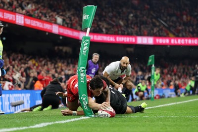 Wales v New Zealand 221125