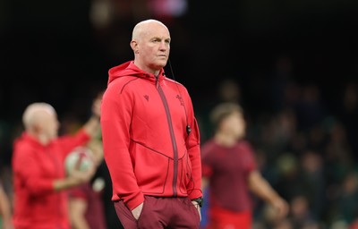 221125 - Wales v New Zealand, Quilter Nations Series - Wales team manager Martyn Williams