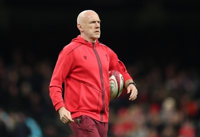 221125 - Wales v New Zealand, Quilter Nations Series - Wales head coach Steve Tandy