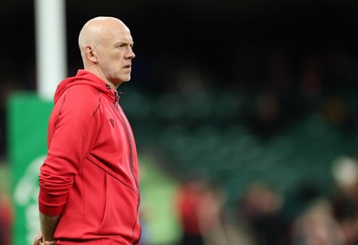 221125 - Wales v New Zealand, Quilter Nations Series - Wales head coach Steve Tandy