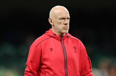 221125 - Wales v New Zealand, Quilter Nations Series - Wales head coach Steve Tandy