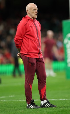 221125 - Wales v New Zealand, Quilter Nations Series - Wales head coach Steve Tandy