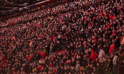 221125 - Wales v New Zealand, Quilter Nations Series - Fans at the match
