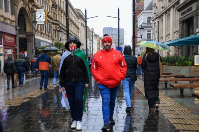 221125 - Wales v New Zealand - Quilter Nations Series - Wales fans before todays game