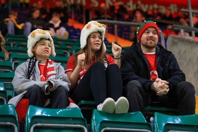 221125 - Wales v New Zealand - Quilter Nations Series - Wales fan before game 