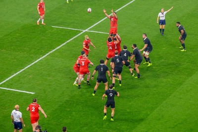221125 - Wales v New Zealand - Quilter Nations Series - Dafydd Jenkins of Wales