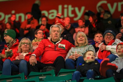 221125 - Wales v New Zealand - Quilter Nations Series - Wales fans 