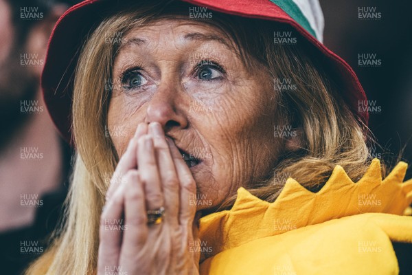 221125 - Wales v New Zealand - Quilter Nations Series - Wales Fans inside the stadium during the game 