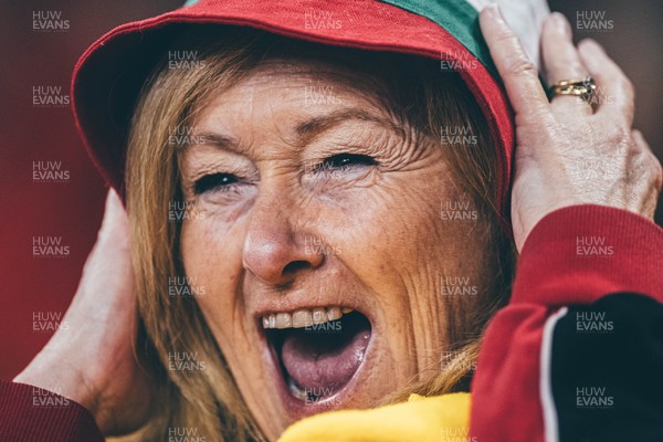 221125 - Wales v New Zealand - Quilter Nations Series - Wales Fans inside the stadium during the game 