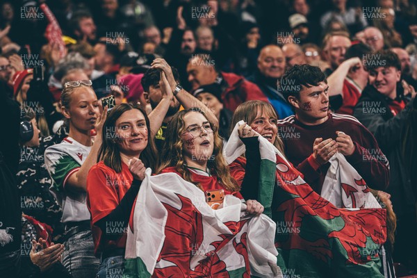 221125 - Wales v New Zealand - Quilter Nations Series - Wales Fans inside the stadium during the game 