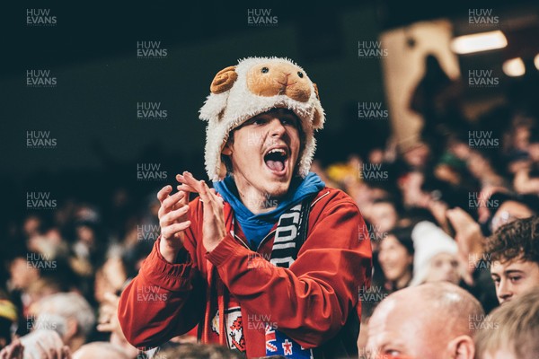 221125 - Wales v New Zealand - Quilter Nations Series - Wales Fans inside the stadium during the game 
