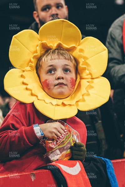 221125 - Wales v New Zealand - Quilter Nations Series - Wales Fans inside the stadium during the game 