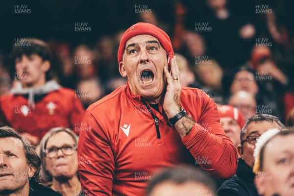 221125 - Wales v New Zealand - Quilter Nations Series - Wales Fans inside the stadium during the game 