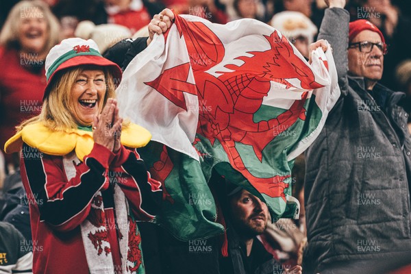 221125 - Wales v New Zealand - Quilter Nations Series - Wales Fans inside the stadium during the game 