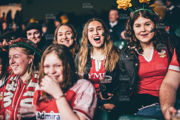221125 - Wales v New Zealand - Quilter Nations Series - Wales Fans inside the stadium during the game 