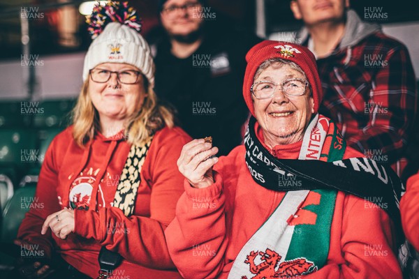 221125 - Wales v New Zealand - Quilter Nations Series - Wales Fans inside the stadium during the game 