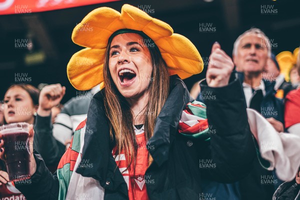 221125 - Wales v New Zealand - Quilter Nations Series - Wales Fans inside the stadium during the game 