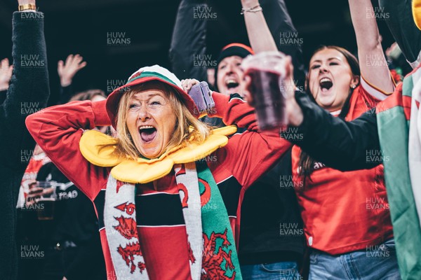 221125 - Wales v New Zealand - Quilter Nations Series - Wales Fans inside the stadium during the game 