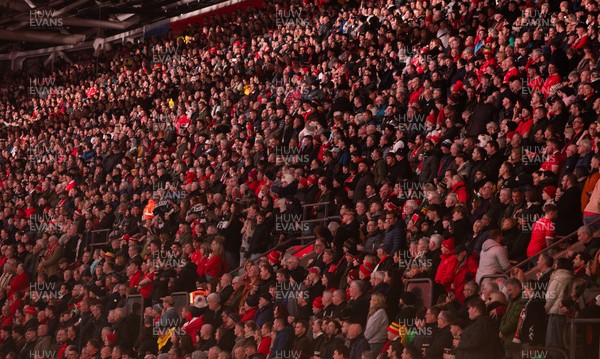 221125 - Wales v New Zealand, Quilter Nations Series - Fans at the match