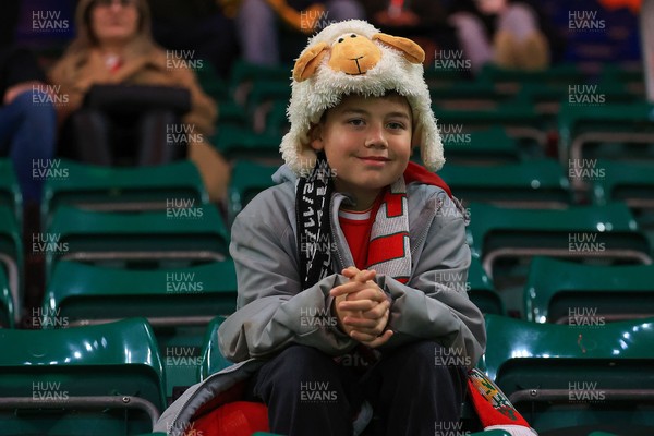 221125 - Wales v New Zealand - Quilter Nations Series - Wales fan before game 