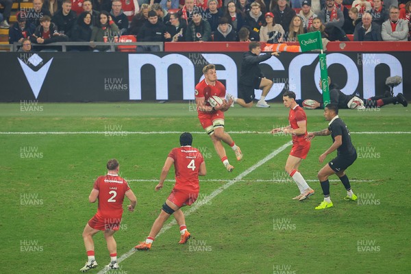 221125 - Wales v New Zealand - Quilter Nations Series - Taine Plumtree of Wales 