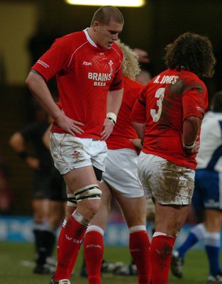 25.11.06 - Wales v New Zealand - Invesco Perpetual Series 2006 - Wales' Ian Evans looks dejected 