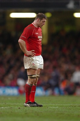 25.11.06  Wales v New Zealand Wales Ian Gough dejected as the points rack up. 