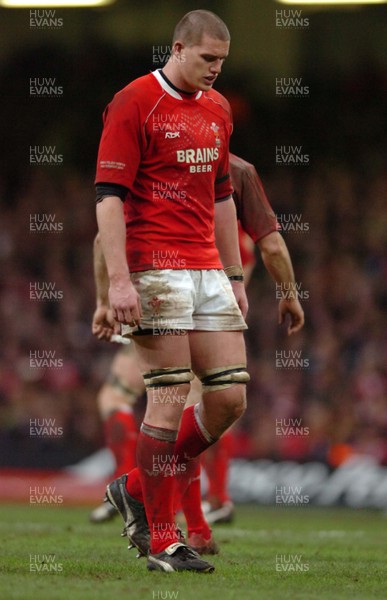 25.11.06  Wales v New Zealand Wales Ian Evans feels the pain. 