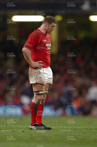 25.11.06  Wales v New Zealand Wales Ian Gough dejected as the points rack up. 