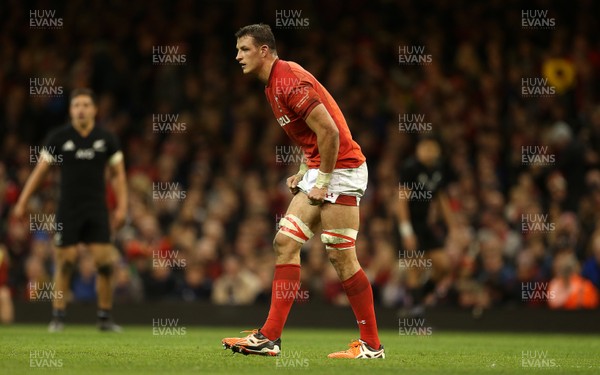 251117 - Wales v New Zealand - Under Armour Series 2017 - Aaron Shingler of Wales