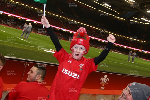 251117 Wales v New Zealand - Under Armour 2017 Series -  Fans of Wales and New Zealand enjoy the atmosphere before the game