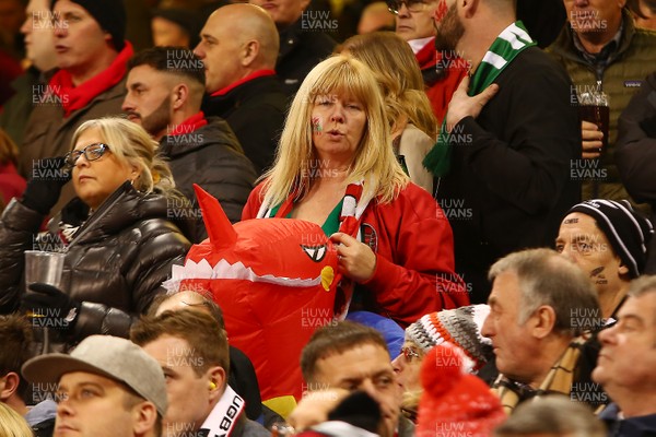 251117 Wales v New Zealand - Under Armour 2017 Series -  Fans of Wales enjoy the game
