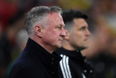 Wales v Northern Ireland 310326