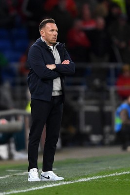 310326 - Wales v Northern Ireland - International Friendly - Craig Bellamy, Wales Manager