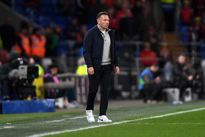 310326 - Wales v Northern Ireland - International Friendly - Craig Bellamy, Wales Manager